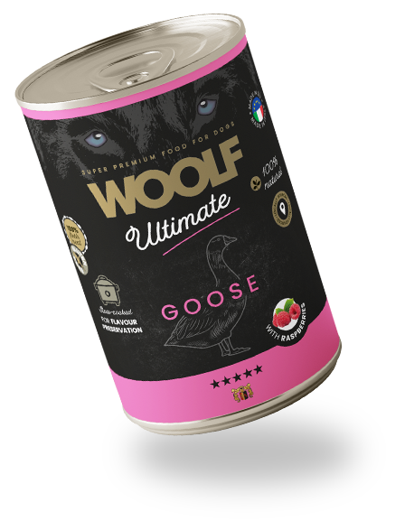 Goose