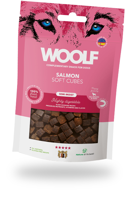 Salmon